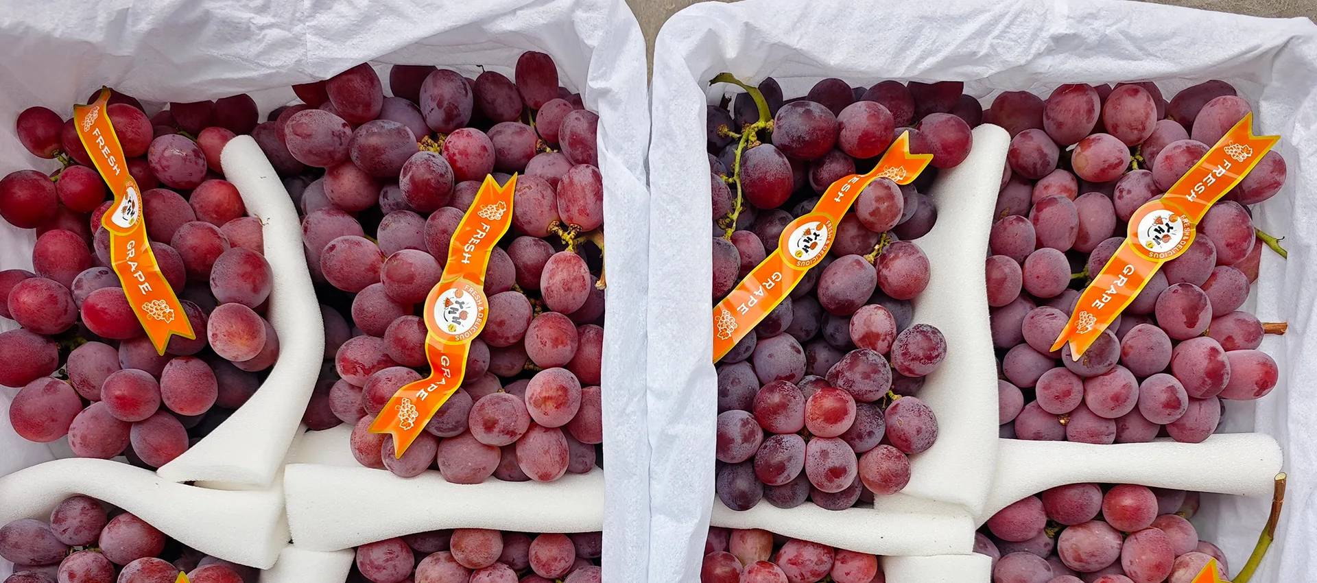 Txinako Premium Fresh Grapes Hornitzailea