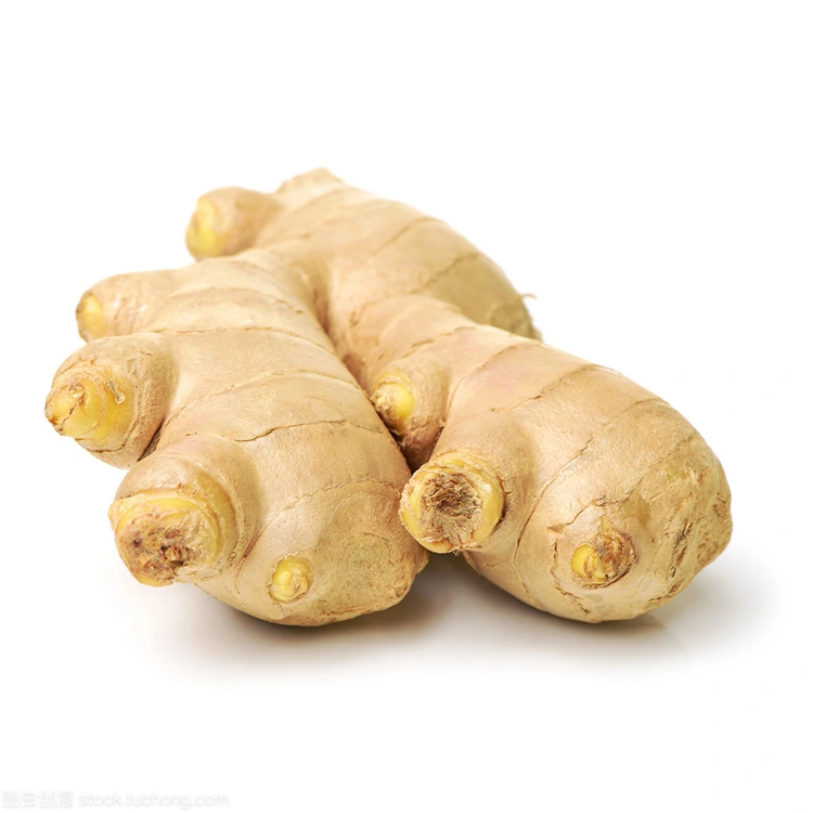 Zergatik da Premium Fresh Ginger kalitatezko erosleentzat hobetsitako aukera?