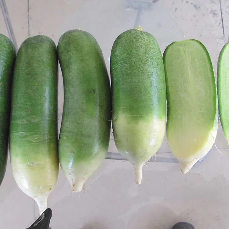 Errefau berde kurruskaria