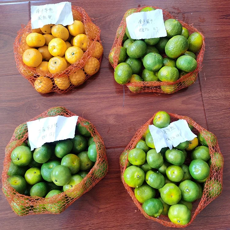 Ezti Freskoa Mandarina