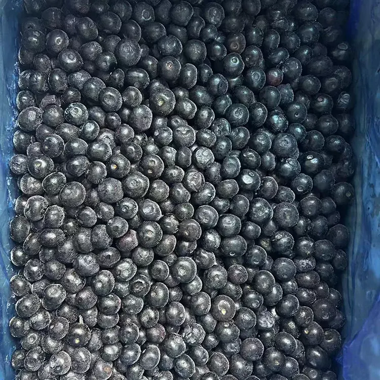 Blueberry Premium IQF Blueberriak izoztuak