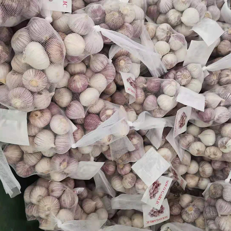Kalitate handiko baratxuri ale bakarra