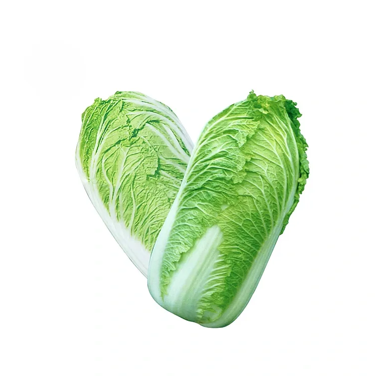 Garden Fresh Chinese Cabbage