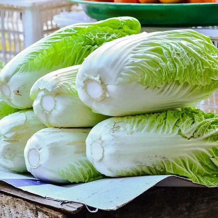 Garden Fresh Chinese Cabbage