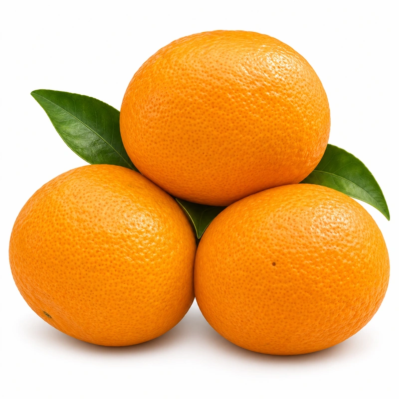 Premium Fresh Aiyuan Jelly Laranja Azala Fina