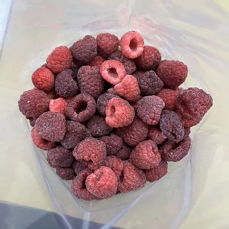 Premium IQF Mugurdi Gorri Izoztua